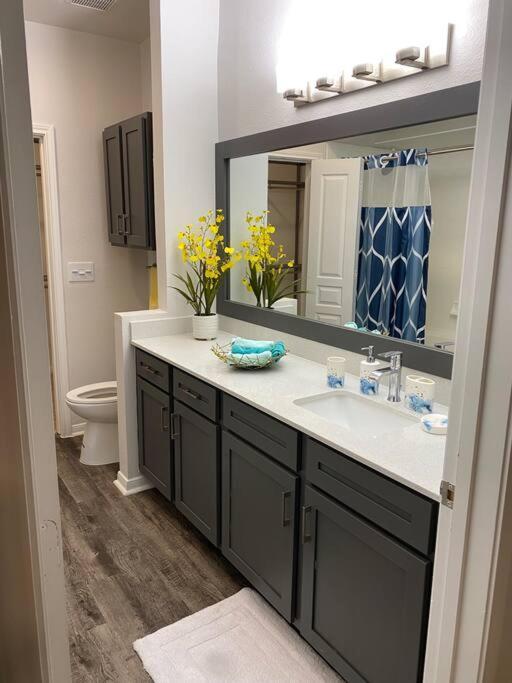 Your Warm Spacious Unit With Pool - Medical Center Houston Bagian luar foto